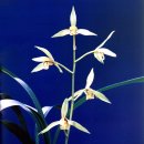 죽백3로 이미지