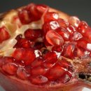 청춘과일 이미지