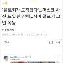 일론 머스크 근황 이미지