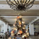 제이파크 | 필리핀 세부 제이파크 리조트 시터후기