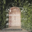 진인테리어 이미지