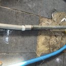 꼭지식당 이미지