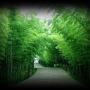 대인생역전 이미지