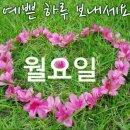 10월 25일(월) 광주,성남,하남관련 이야기 이미지