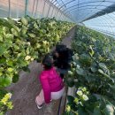 봄이네농장 이미지