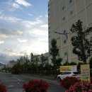 팔용동서식품 이미지