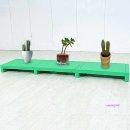 미미화분