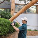 세이브트리엑스퍼트 이미지