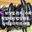 미락농장 이미지