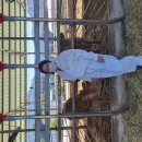 옥천축산 이미지