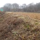 삼웅1리마을회관 이미지