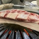 돝제주흑돼지 이미지