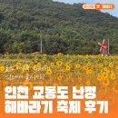 교동면 인사리 평화나들길 | 올해 마지막 해바라기, 인천 교동도에서 즐기세요! 교동도 난정 해바라기 축제 후기