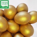 마미유통 이미지
