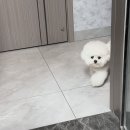 파인 옷 이미지