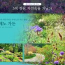 여름의 정원