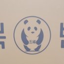 연초반점 이미지