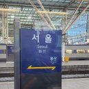 (주)대웅펫 | 초겨울 강릉 🌊 1박 2일 여행