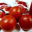 토마토피아 네이버블로그