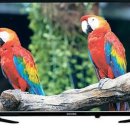 쇼핑초이스 이미지