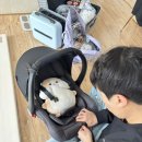 수영이네족발 이미지