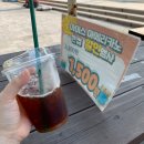 덥고 습해도 계속되는 여름일상 photo dump