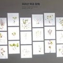 만의약초방 이미지