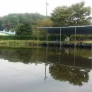 단돈낚시터 이미지