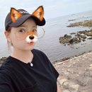 땅끝낚시터 | 포항 구룡포해수욕장 데이트 : 동쪽땅끝마을 &amp; 양준혁 동끝카페 구경만 한 목짧은 기린의 찐 후기