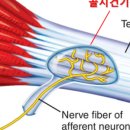가로세로 이미지