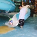 성동장 이미지