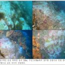 대국해저관광(주) 서귀포잠수함 이미지