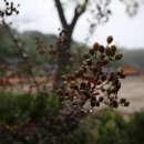 개실마을 이미지