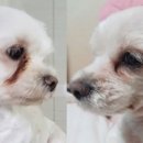 ㈜바이오밸런스 이미지