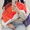 스네지호 이미지
