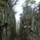 중석농장 | 여자의 젖무덤 형상을 한 진도의 여귀산 2017.01.05