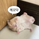 파라다이스 | w01. 대구 예식장 퀸벨호텔, 노비아갈라, 파라다이스 후기