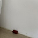 오케이(OK)매점