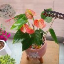 웅동1동행정복지센터 이미지