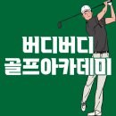 버디버디 골프아카데미 이미지