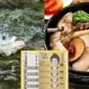 계곡식당 이미지