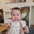 [육아] 베이비파스텔 용인본점 돌 뉴테마 촬영, 가족사진 촬영 후기