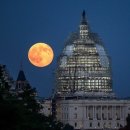 연 행정사 사무소 이미지