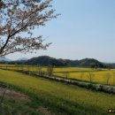 부곡수변공원 이미지