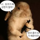 퇴사기념 짤풀이(100장) 이미지