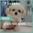초읍동물병원 이미지