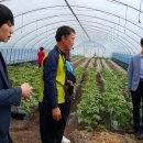 용기네 농장 이미지