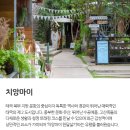 투어투게더여행사 이미지