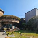 시골집본가 | 송도 김치찌개맛집 시골집본가 내돈내산 후기 및 이용방법