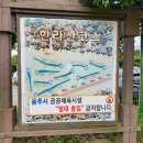 제주생활체육공원 이미지